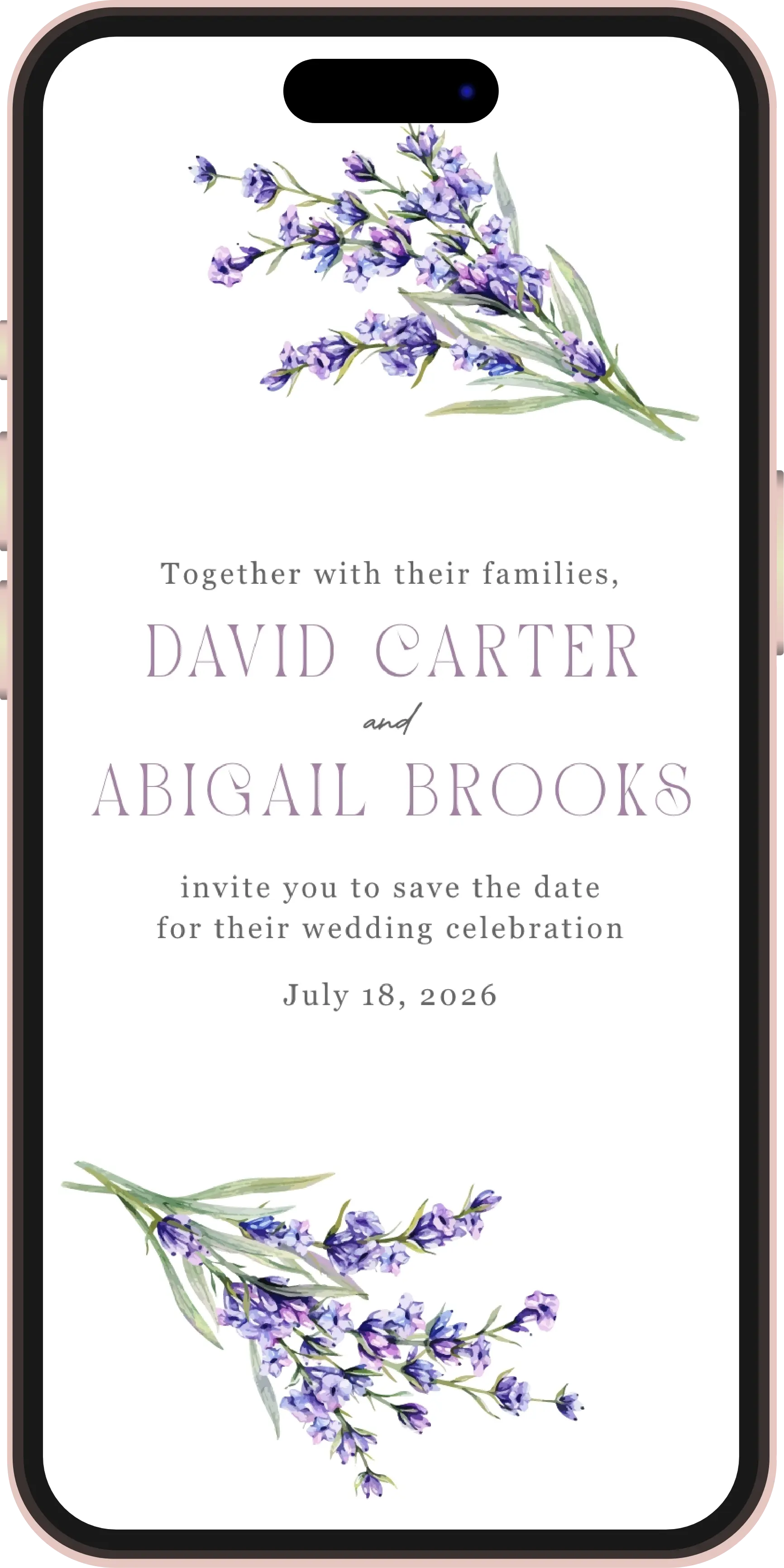 221903135_f15d2934-30d4-4422-9cba-fb6df6ae4a0d